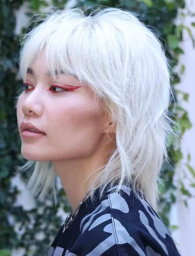 Mullet Wolf Cut Hybrid