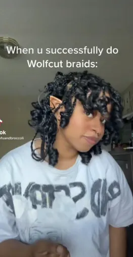 Wolf Cut with Braids